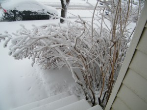 Snow storm in March