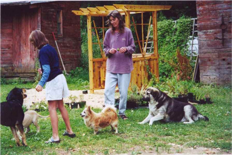  Comfy Country Creations features pets