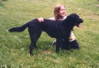  Comfy Country Creations features pets