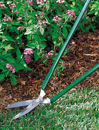  Comfy Country Creations features a large selection of products for the gardener.
