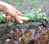  Comfy Country Creations features a large selection of products for the gardener.