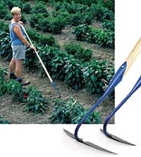  Comfy Country Creations features a large selection of products for the gardener.