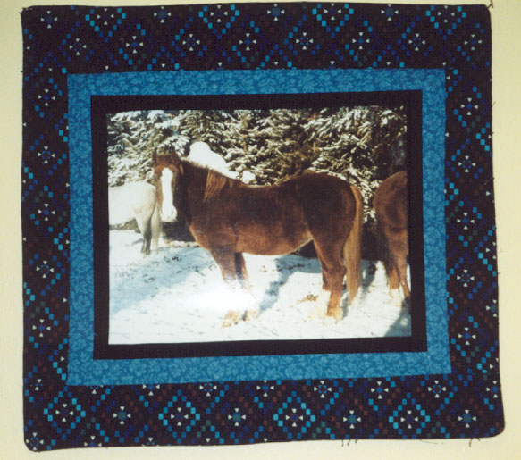 Quilts can be used as picture frames and  wallhangings as well.