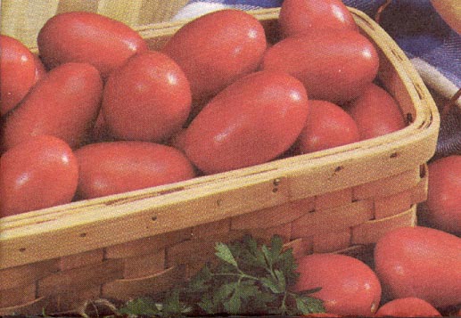 Rhubarb recipes to make your mouth water